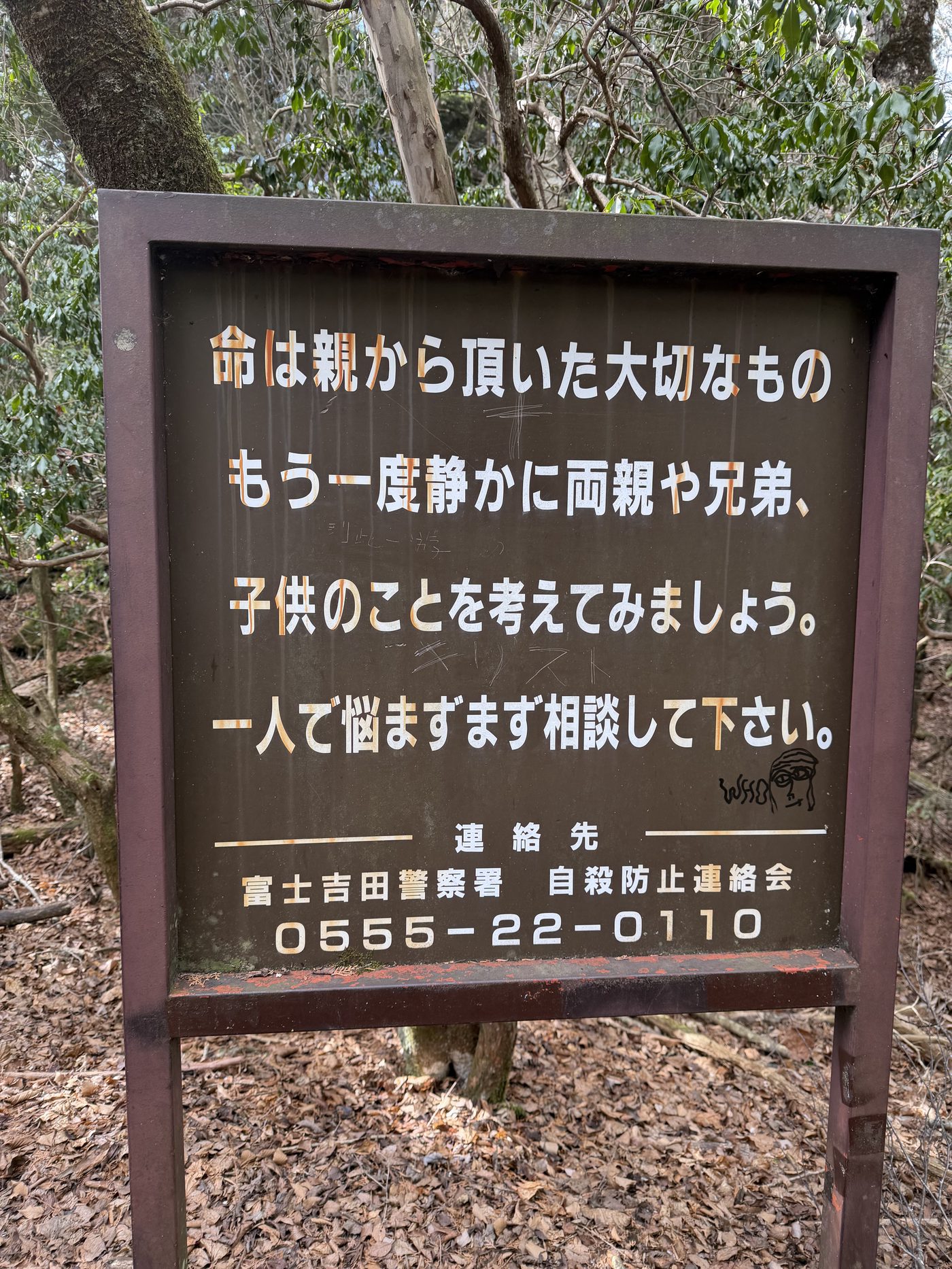 Aokigahara Trail 2